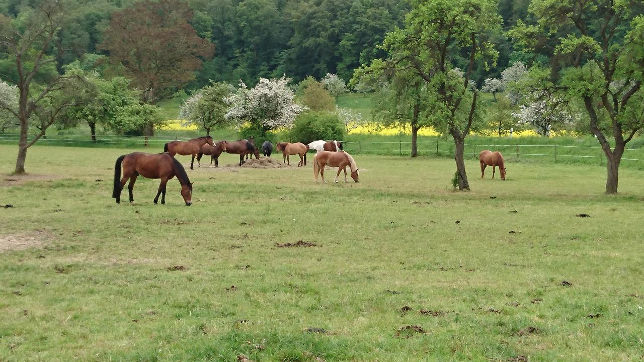 Ferienhaus Vom Bahratal Hausen  Εξωτερικό φωτογραφία